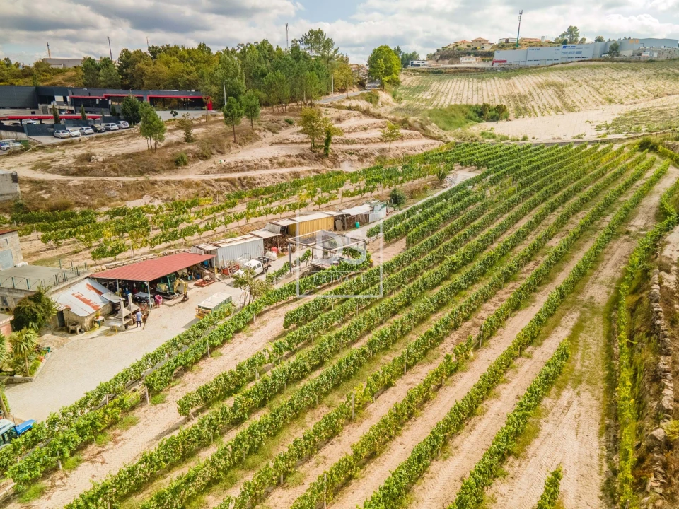 Quinta T2 para Venda em Constance Foto 28