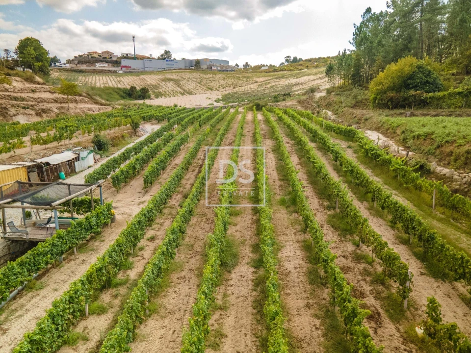 Quinta T2 para Venda em Constance Foto 30