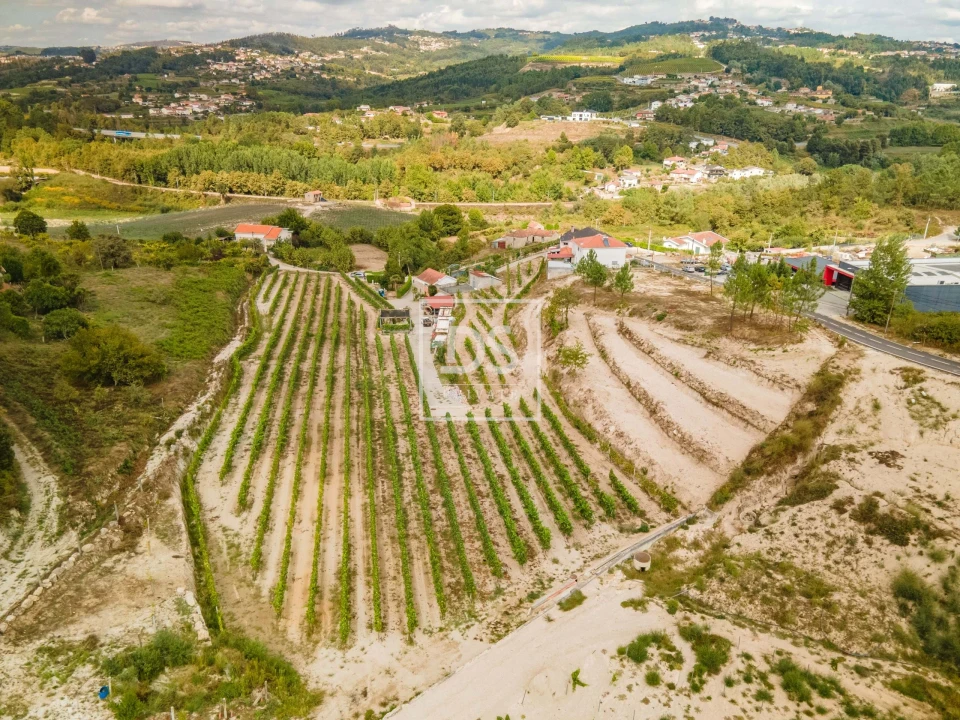 Quinta T2 para Venda em Constance Foto 33