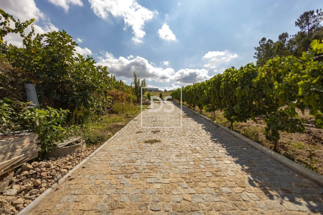 Quinta T2 para Venda em Constance Foto 23