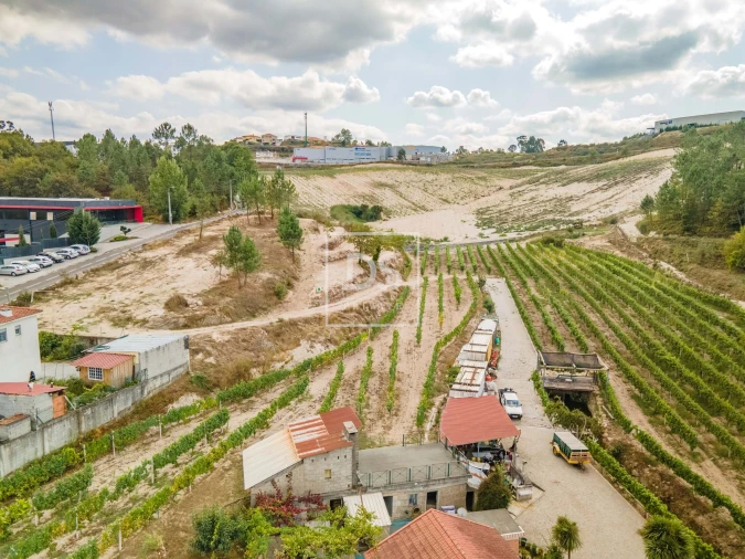 Quinta T2 para Venda em Constance Foto 42