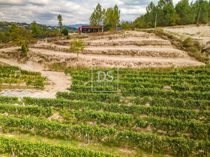 Quinta T2 para Venda em Constance Foto 38