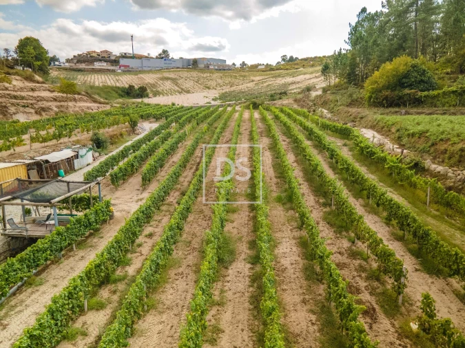 Quinta T2 para Venda em Constance Foto 30