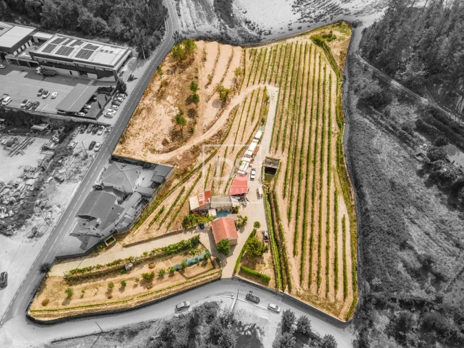 Quinta T2 para Venda em Constance Foto 17