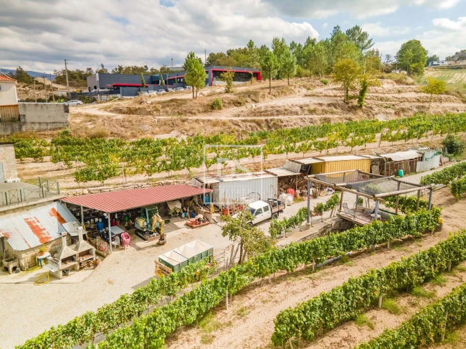 Quinta T2 para Venda em Constance Foto 32