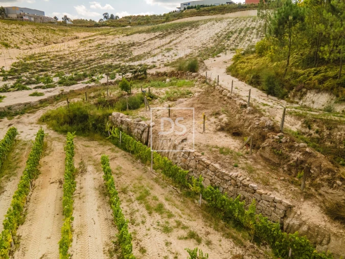 Quinta T2 para Venda em Constance Foto 39