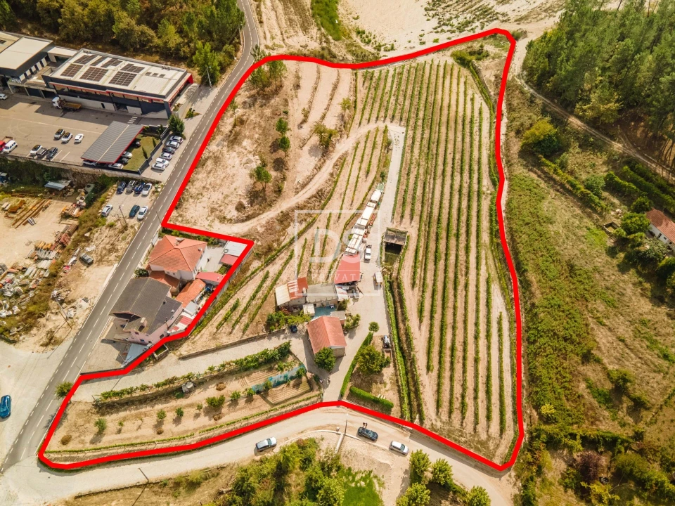 Quinta T2 para Venda em Constance Foto 18