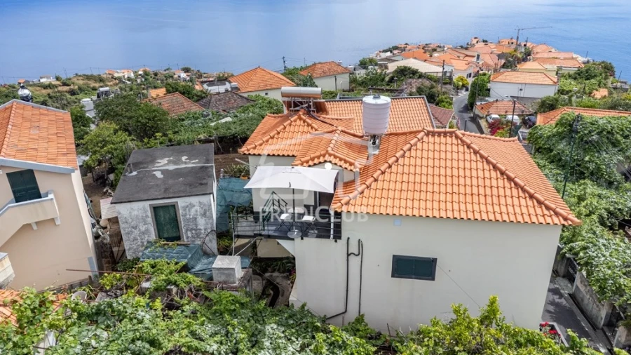 Terreno para Arrendamento em Calheta Foto 3