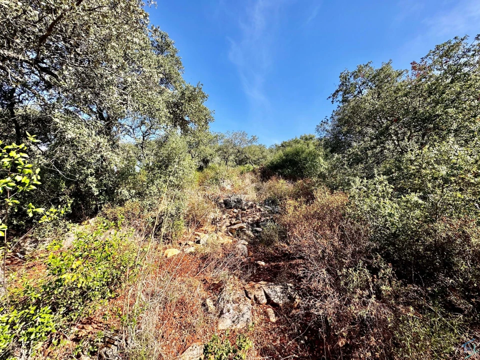 Moradia T5 para Venda em Além da Ribeira e Pedreira Foto 40