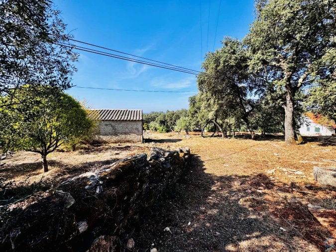 Moradia T5 para Venda em Além da Ribeira e Pedreira Foto 26