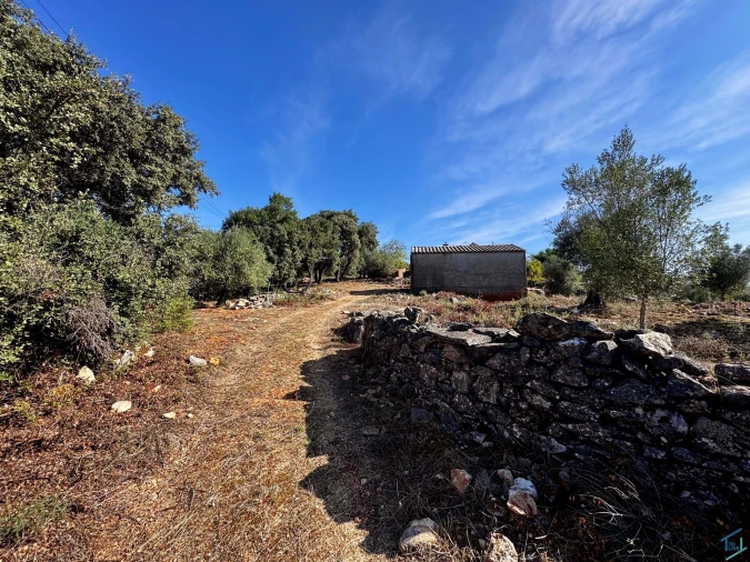 Moradia T5 para Venda em Além da Ribeira e Pedreira Foto 19