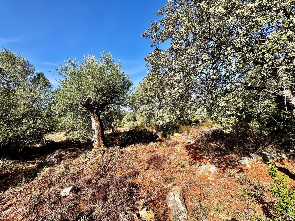 Moradia T5 para Venda em Além da Ribeira e Pedreira Foto 41