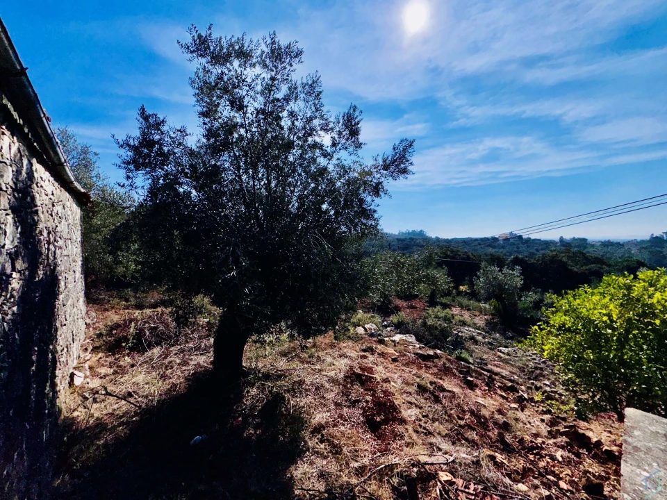 Moradia T5 para Venda em Além da Ribeira e Pedreira Foto 54