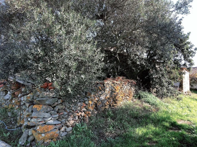 Moradia T7 para Venda em São Marcos da Ataboeira Foto 23