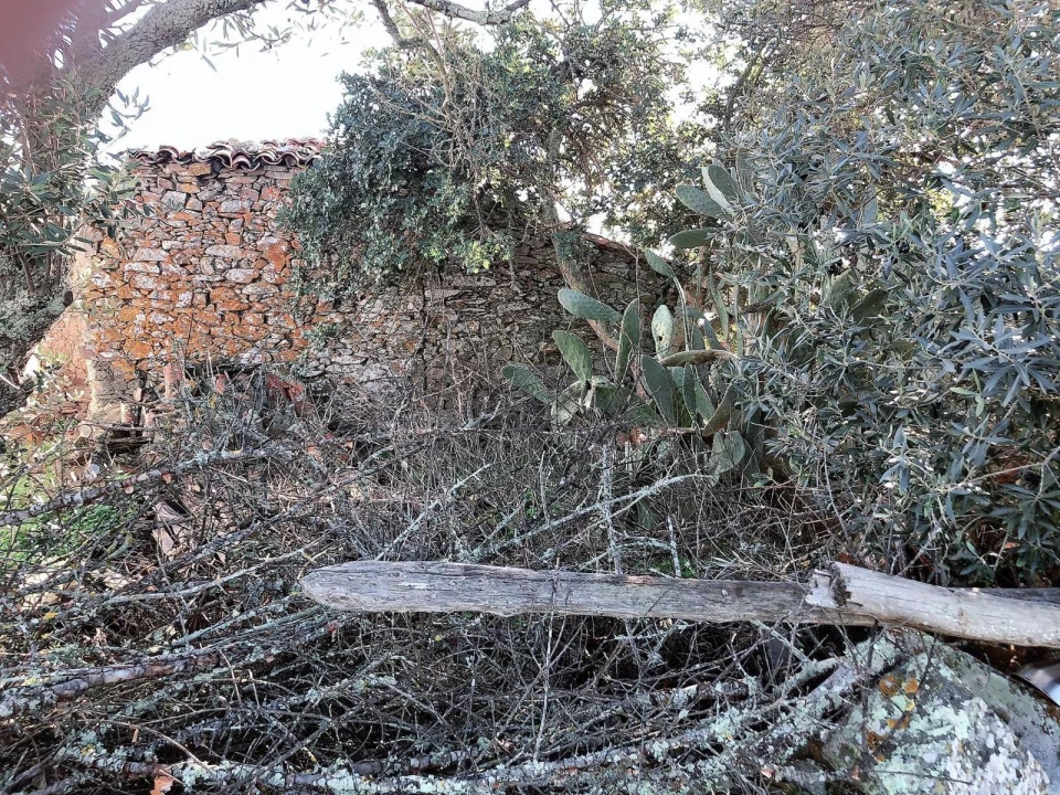 Moradia T7 para Venda em São Marcos da Ataboeira Foto 22