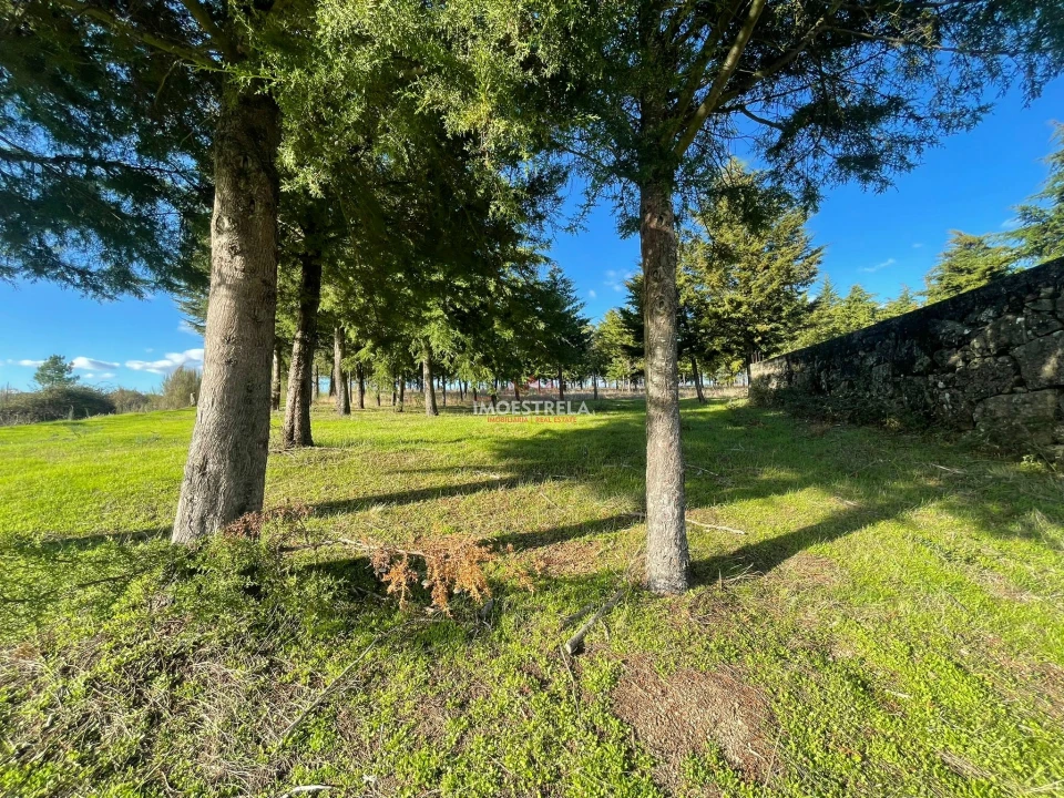 Quinta T0 para Venda em Melo e Nabais Foto 7