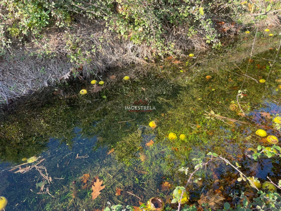 Quinta T0 para Venda em Melo e Nabais Foto 16