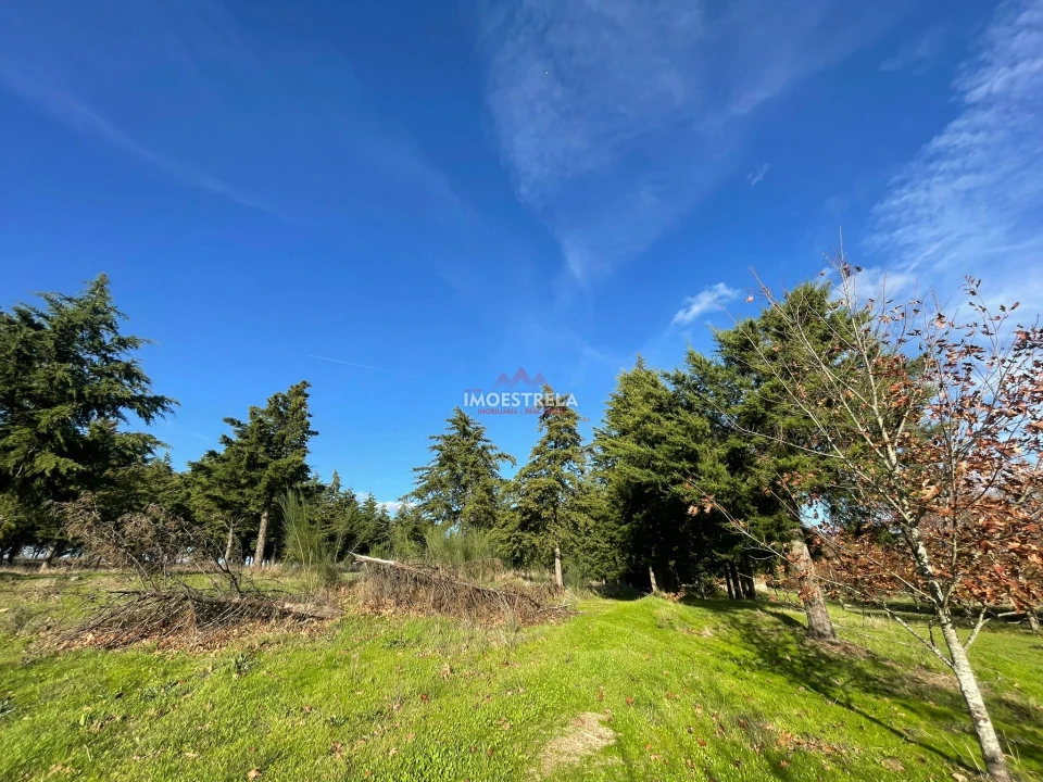 Quinta T0 para Venda em Melo e Nabais Foto 6