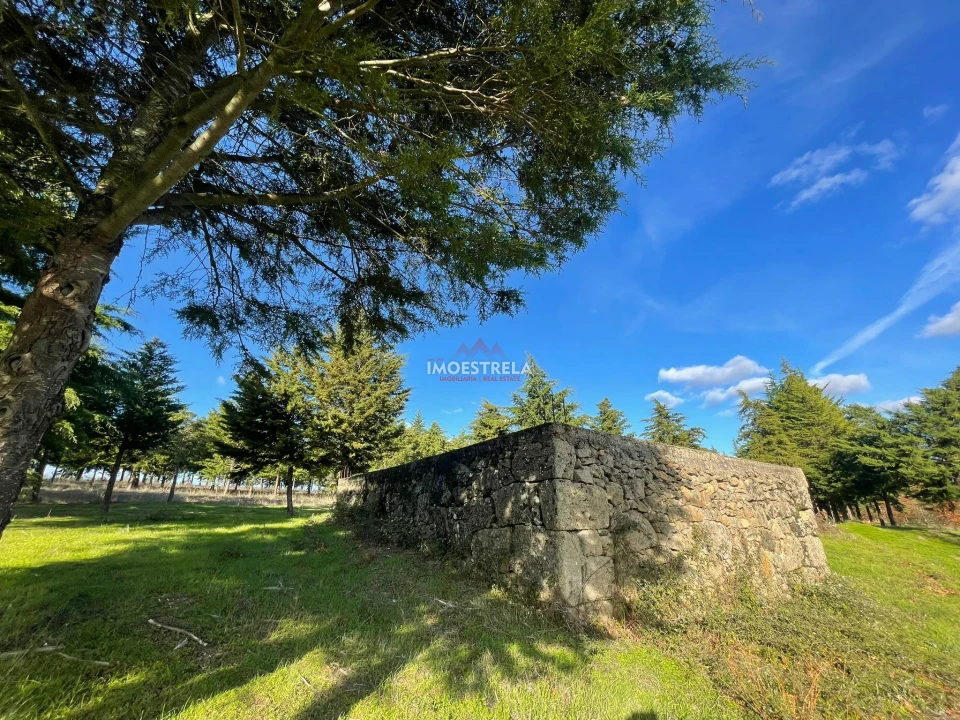 Quinta T0 para Venda em Melo e Nabais Foto 8