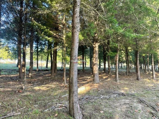 Quinta T0 para Venda em Melo e Nabais Foto 13