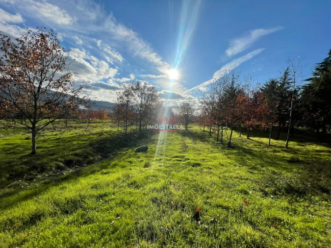 Quinta T0 para Venda em Melo e Nabais Foto 15