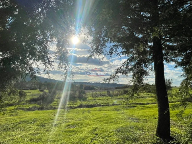 Quinta T0 para Venda em Melo e Nabais Foto 4