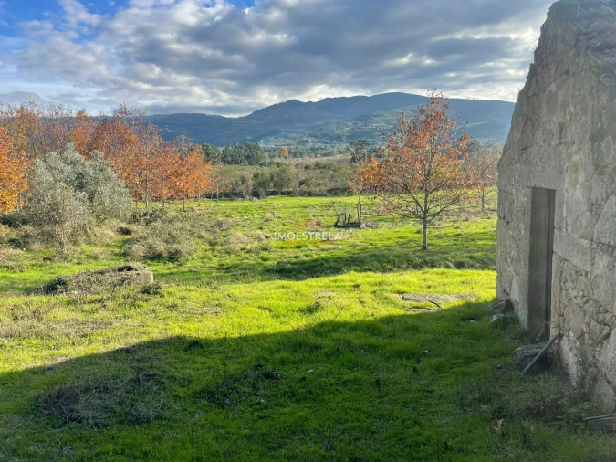Quinta T0 para Venda em Melo e Nabais Foto 14