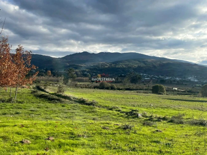 Quinta T0 para Venda em Melo e Nabais Foto 12