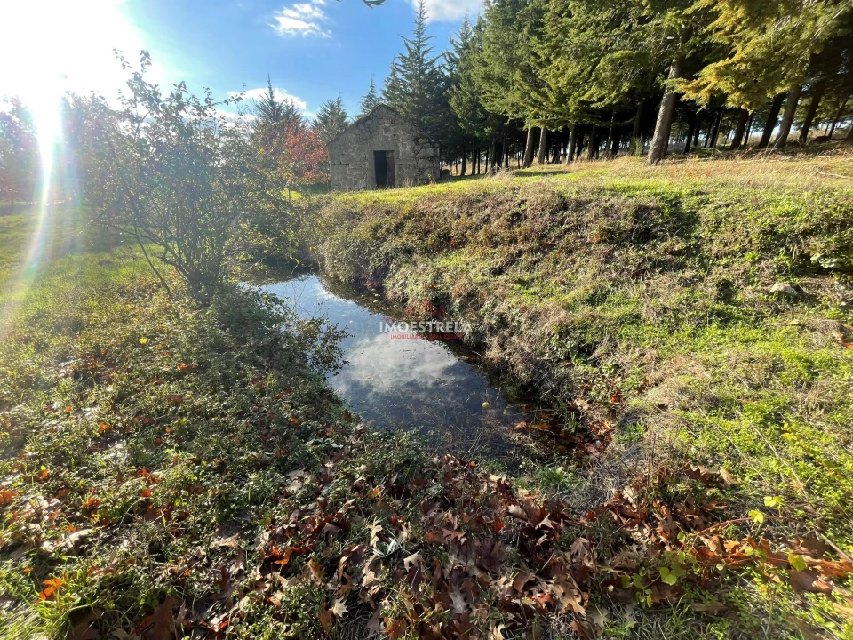 Quinta T0 para Venda em Melo e Nabais Foto 2
