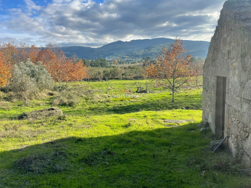 Quinta T0 para Venda em Melo e Nabais Foto 14