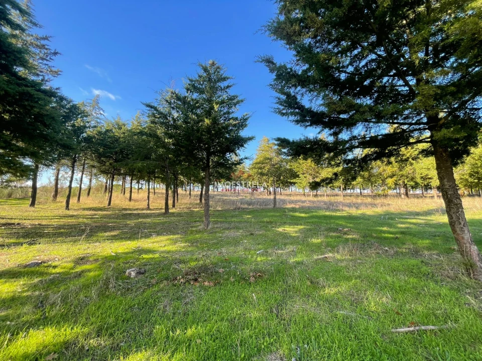 Quinta T0 para Venda em Melo e Nabais Foto 9