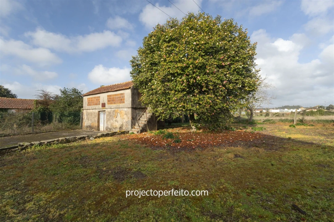 Quinta T3 para Venda em Avanca Foto 13