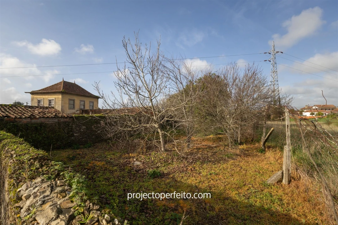 Quinta T3 para Venda em Avanca Foto 9