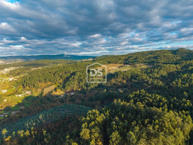 Terreno para Venda em Paço de Sousa Foto 8