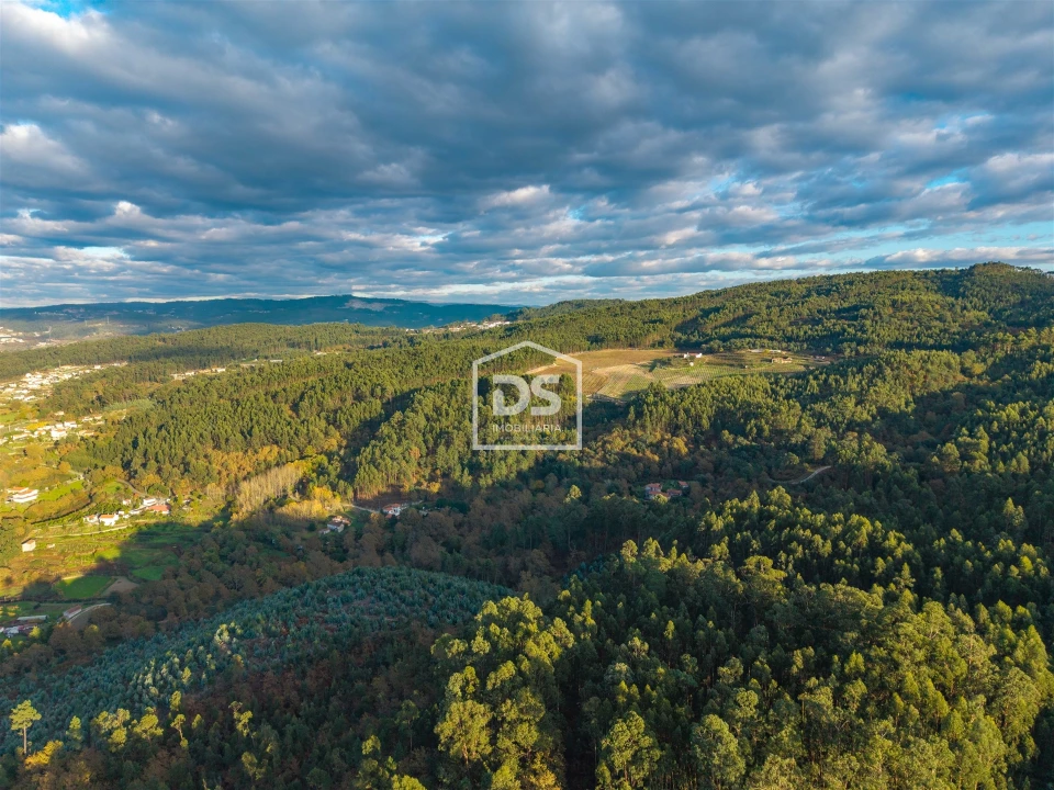 Terreno para Venda em Paço de Sousa Foto 8