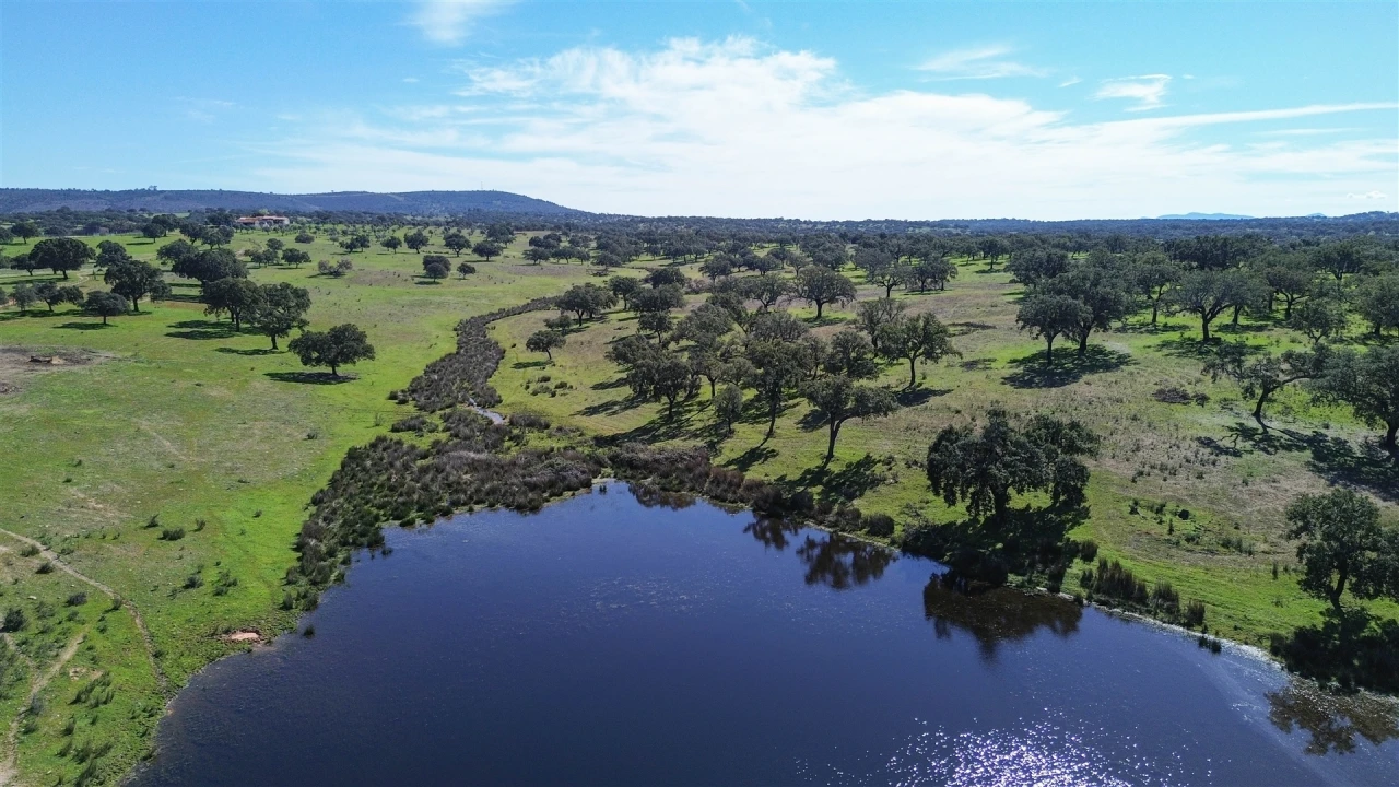 Quinta T7 para Venda em Malpica do Tejo Foto 108