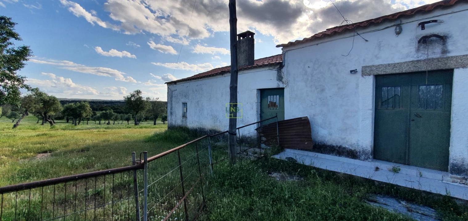 Quinta T7 para Venda em Malpica do Tejo Foto 31