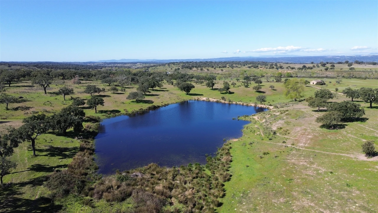 Quinta T7 para Venda em Malpica do Tejo Foto 106