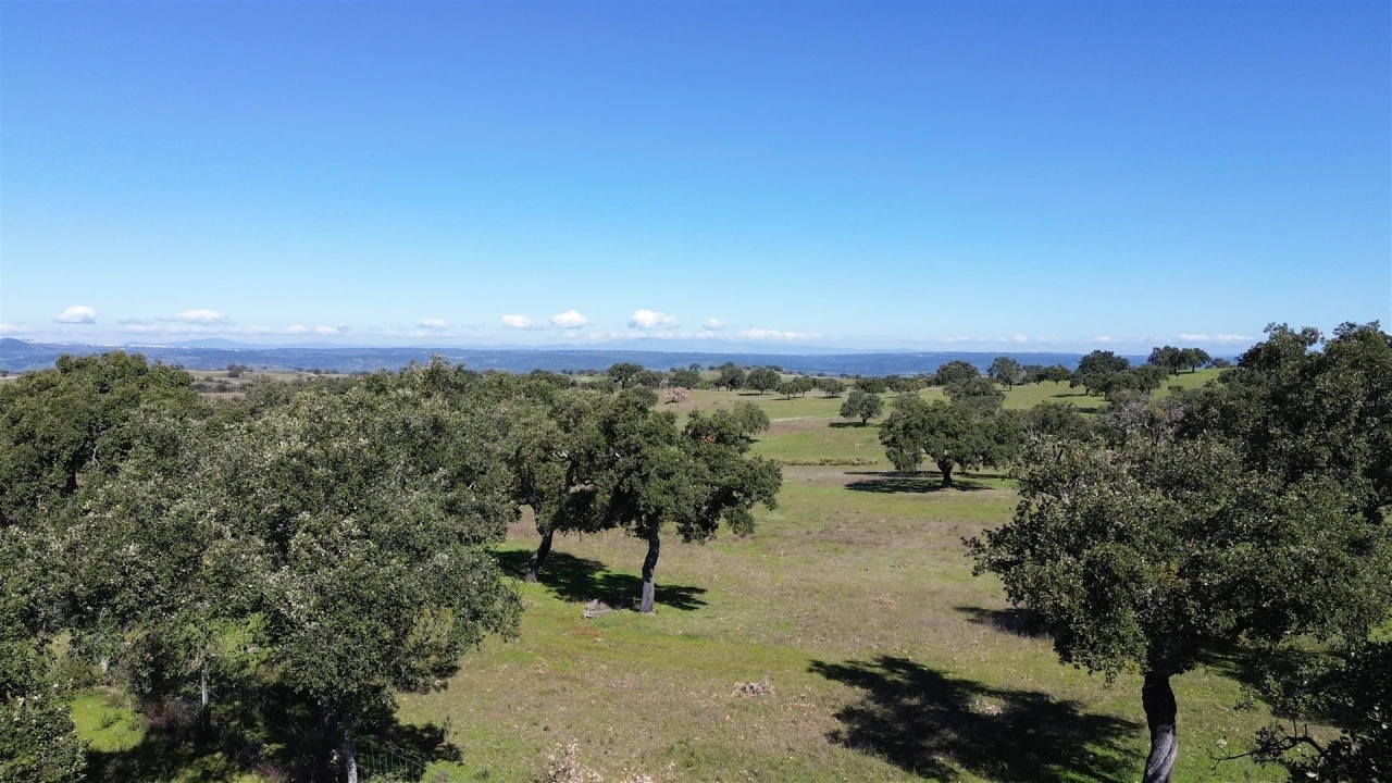 Quinta T7 para Venda em Malpica do Tejo Foto 91