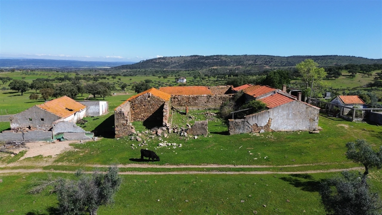 Quinta T7 para Venda em Malpica do Tejo Foto 98