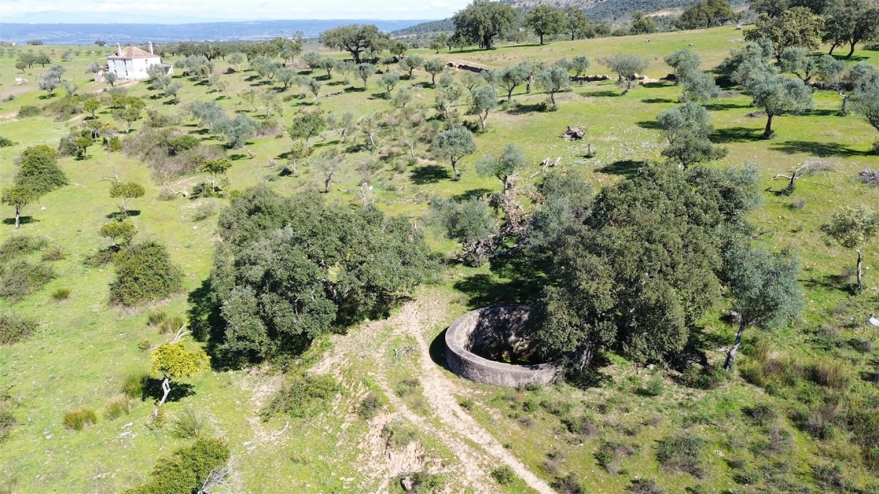 Quinta T7 para Venda em Malpica do Tejo Foto 125