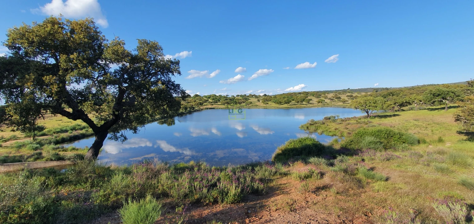 Quinta T7 para Venda em Malpica do Tejo Foto 46
