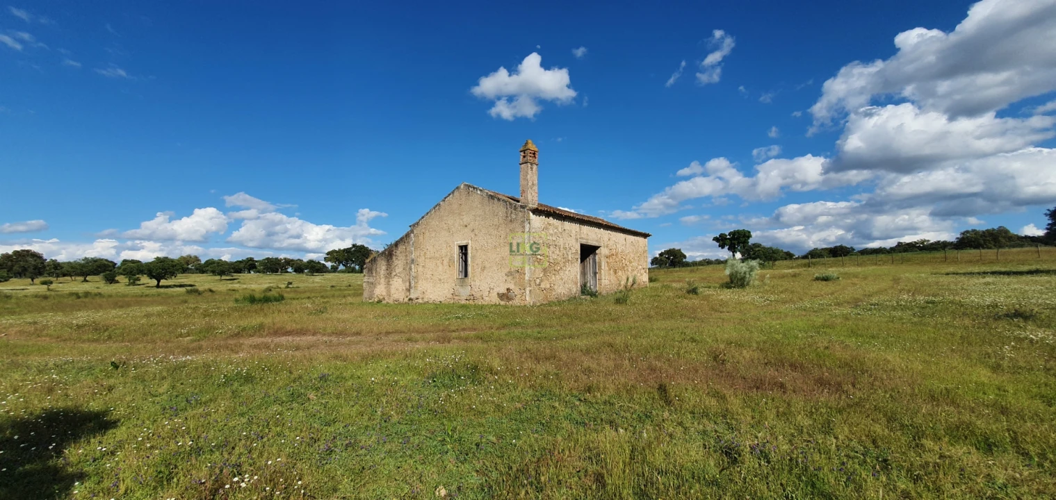 Quinta T7 para Venda em Malpica do Tejo Foto 20