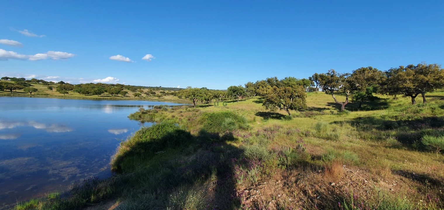 Quinta T7 para Venda em Malpica do Tejo Foto 44