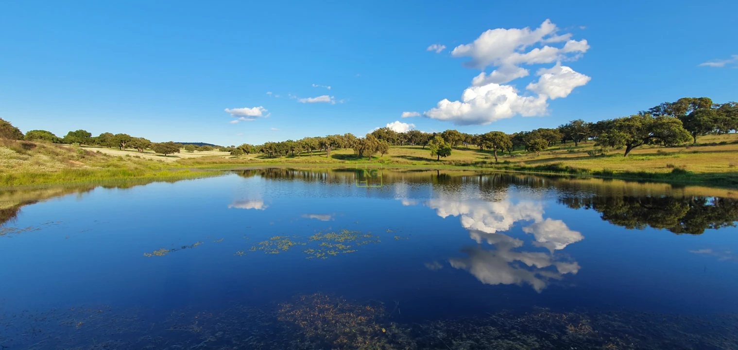 Quinta T7 para Venda em Malpica do Tejo Foto 1