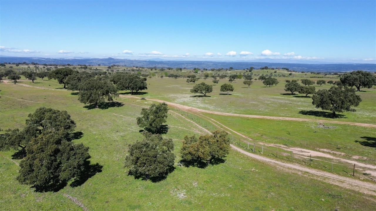 Quinta T7 para Venda em Malpica do Tejo Foto 105