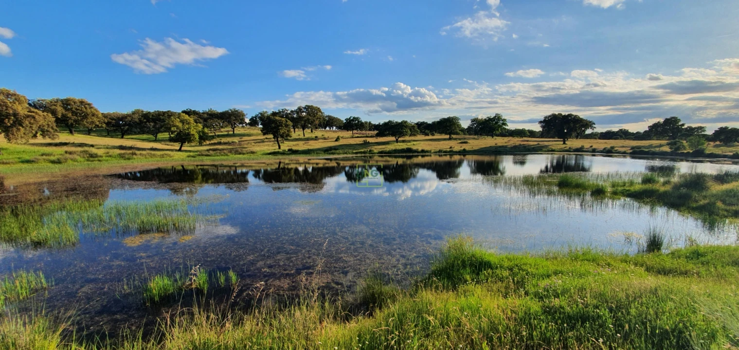 Quinta T7 para Venda em Malpica do Tejo Foto 82