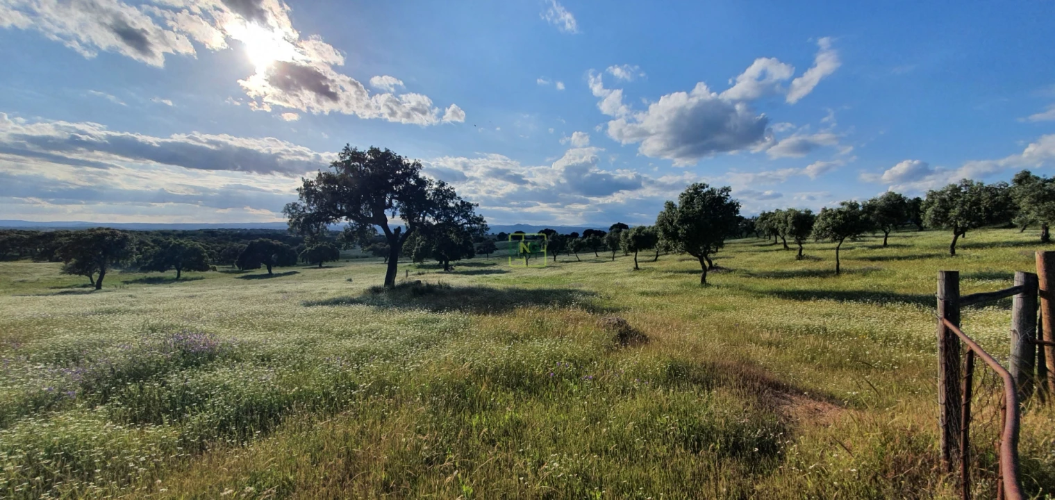 Quinta T7 para Venda em Malpica do Tejo Foto 51