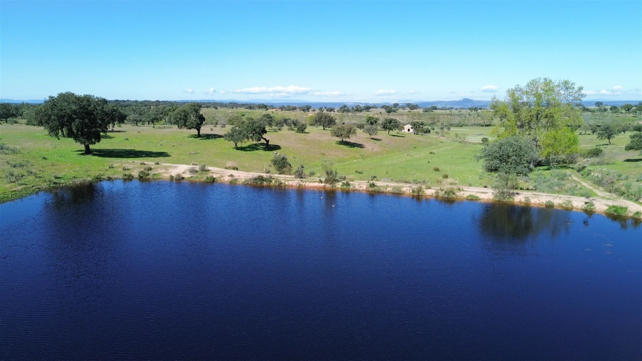 Quinta T7 para Venda em Malpica do Tejo Foto 107