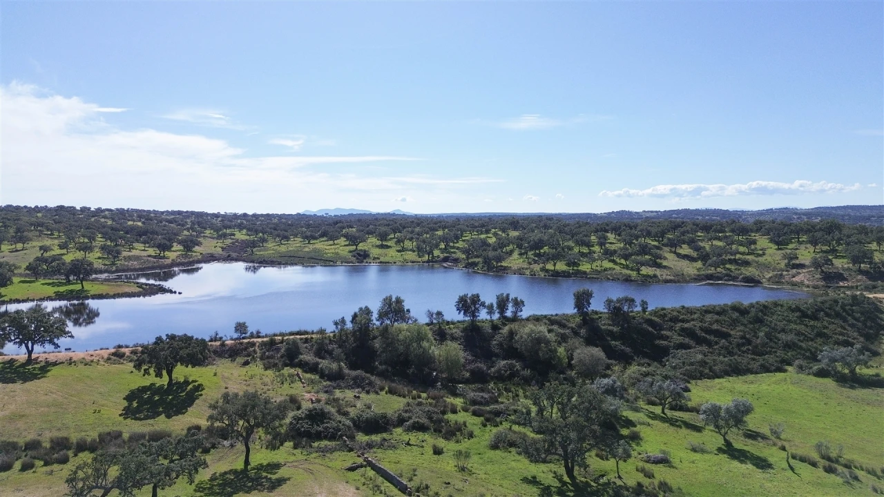 Quinta T7 para Venda em Malpica do Tejo Foto 118